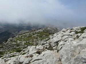 IMG_6374 (Medium)